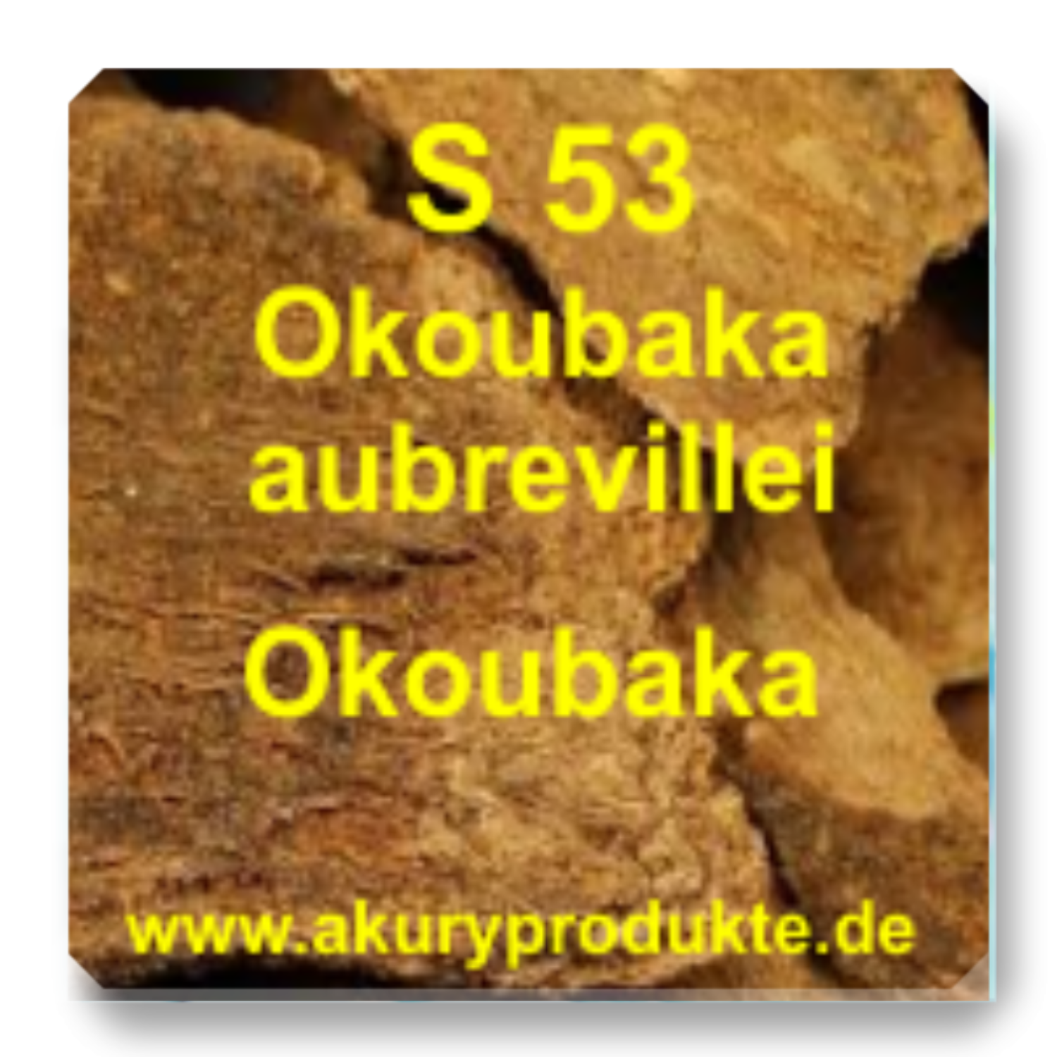 S 53 Okoubaka aubrevillei (Okoubaka)
