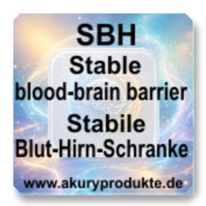 SBH Stable blood-brain barrier